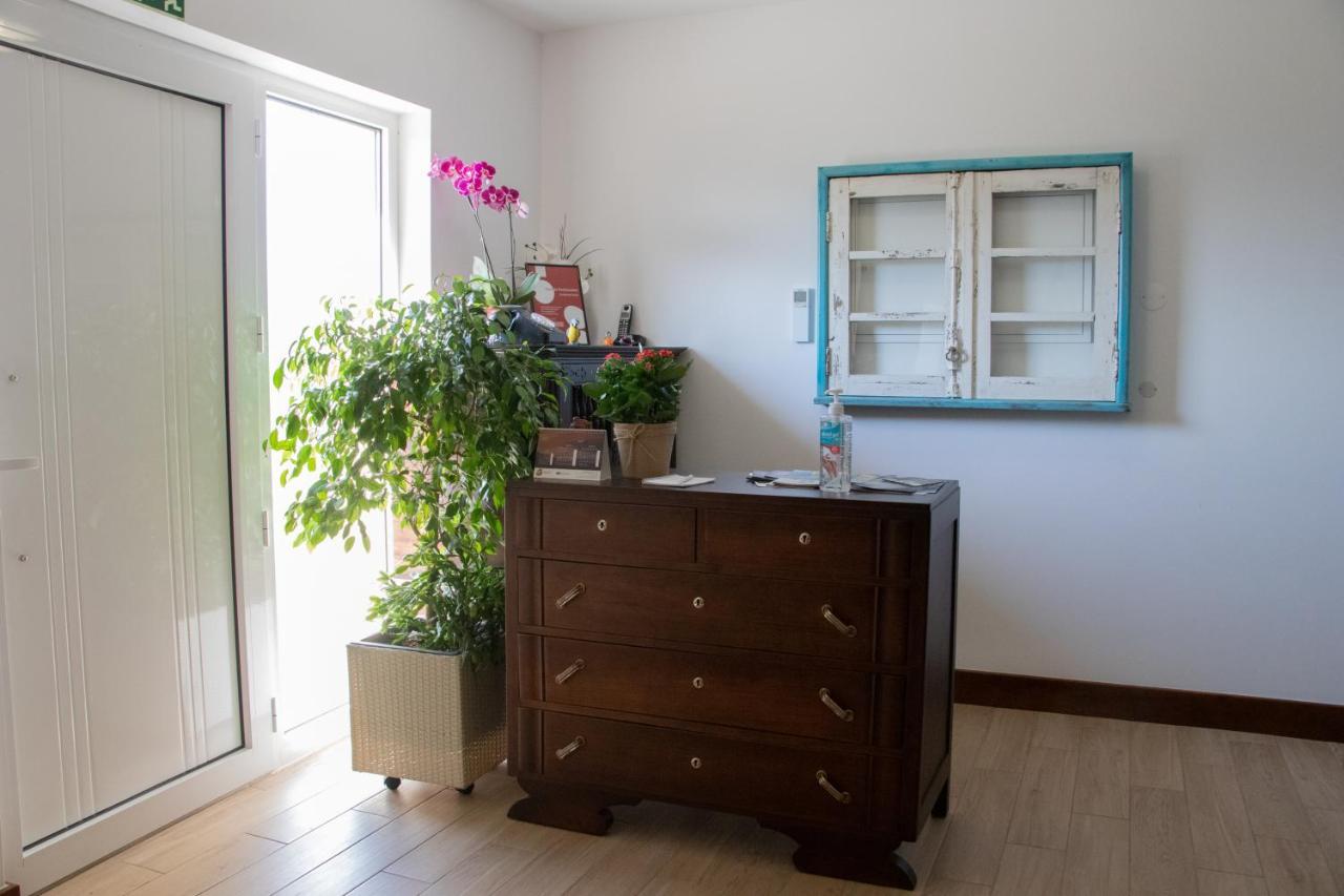 Ninho D'Arara Bed & Breakfast Tondela Exterior photo
